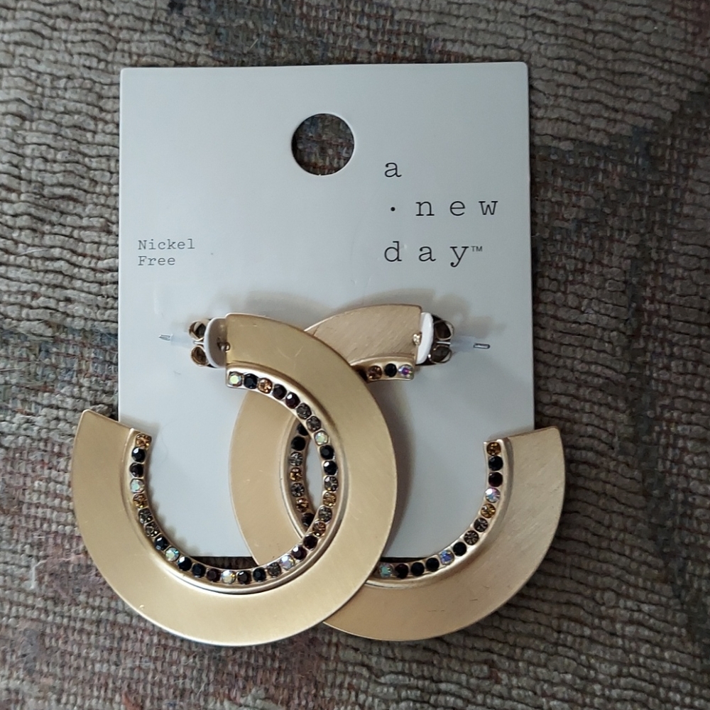 Glass and Gems Brushed Hoop and Statement Earrings - Picture 2 of 4